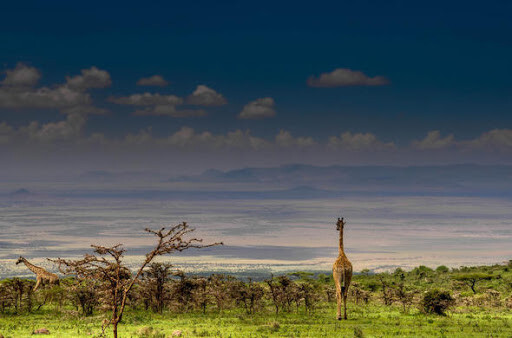Гора Кіліманджаро Танзанія