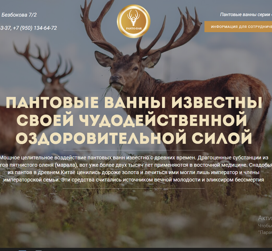 Ads Marketing Generiruem Zayavki Nastraivaem Reklamu Lidogeneraciya