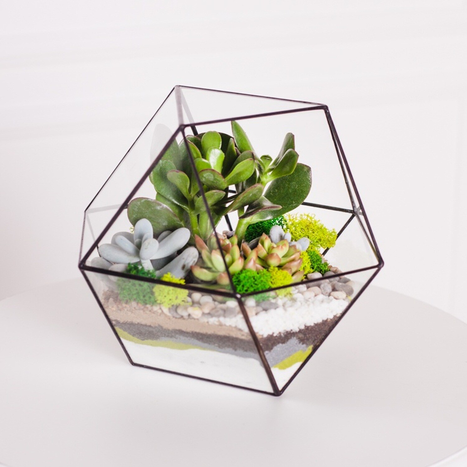 геометрический флорариум кубоктаэдр, купить флорариум екатеринбург