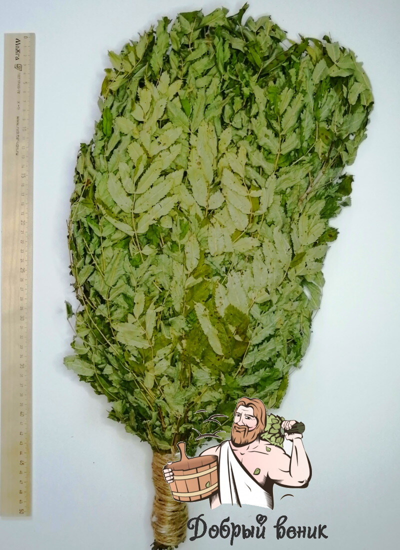 БАННЫЕ ВЕНИКИ
